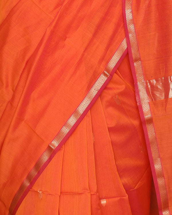 Coral Burst Saree
