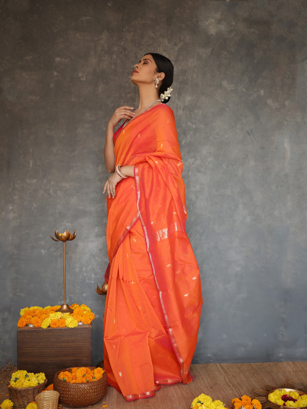 Coral Burst Saree