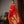 Load image into Gallery viewer, Red Lotus Saree
