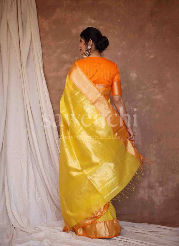 Sunlit Drape - Handloom Silk Cotton Saree