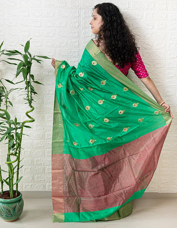 Palashini Saree