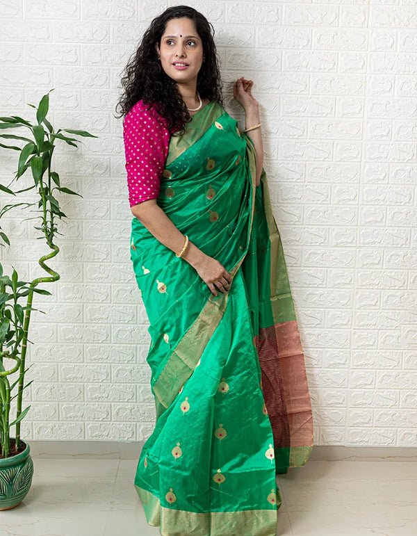 Palashini Saree