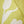 Green skirt and off white linen shirt set