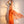 Load image into Gallery viewer, Orange Blossom Saree
