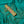 Mint Saree