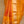 Kesar (Shipping in 15 days)