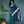 Load image into Gallery viewer, Peacock blue lotus saree
