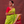 Load image into Gallery viewer, Maharani Saree
