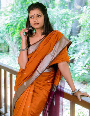 Noor Saree