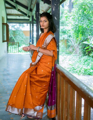 Noor Saree